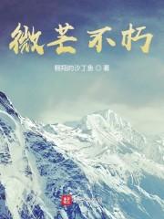 微芒不朽